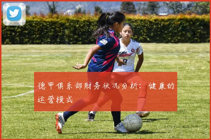 德甲俱乐部财务状况分析：健康的运营模式