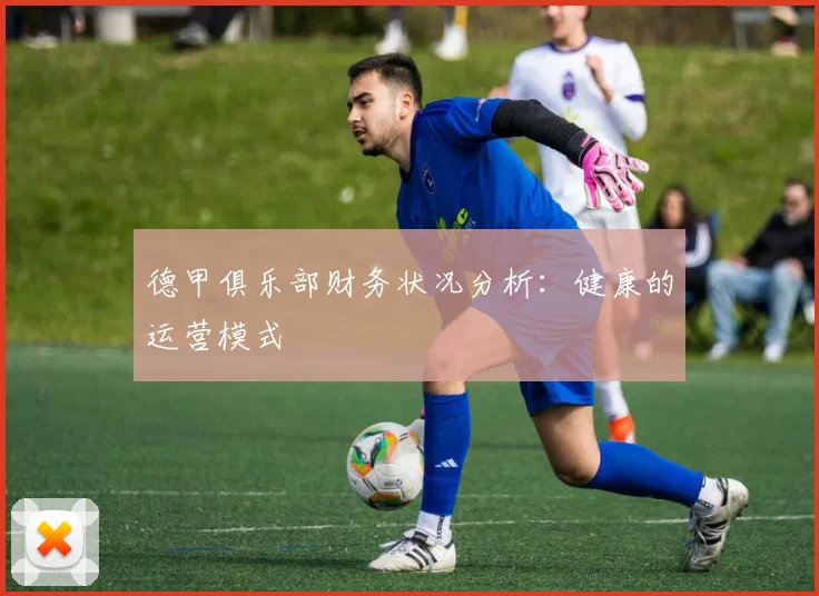 德甲俱乐部财务状况分析：健康的运营模式